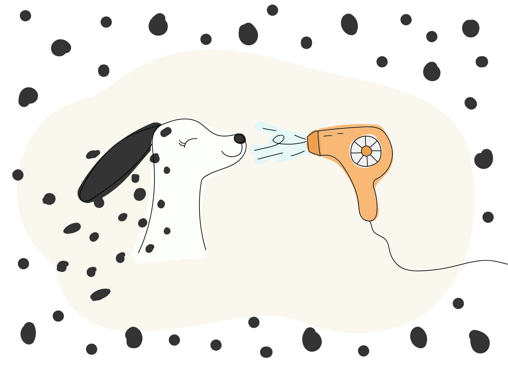 Ansichtkaart | Dalmatiër verliest zijn stippen